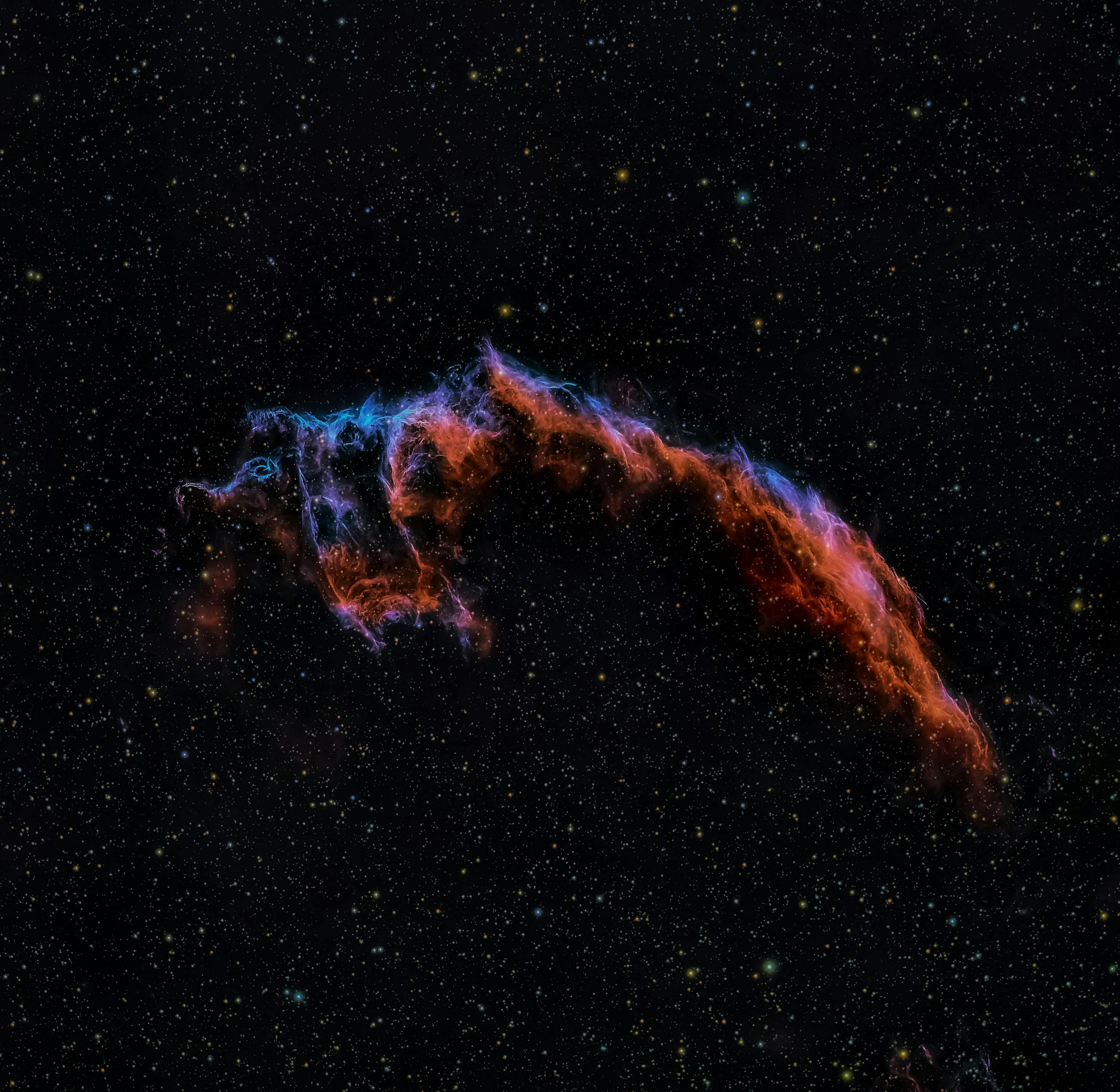 Digital Audits